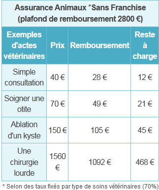 découvrez comment choisir la mutuelle idéale pour vos animaux de compagnie. comparez les offres, évaluez les garanties et trouvez la couverture qui répond le mieux aux besoins de votre compagnon à quatre pattes.