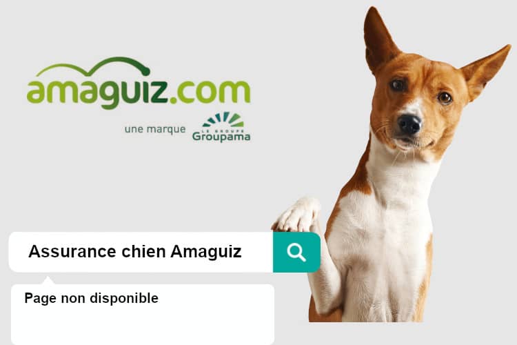 découvrez notre avis sur groupama : analyse des services, de la qualité des assurances et du rapport qualité-prix. informez-vous sur les retours des clients pour faire le choix qui vous convient le mieux.